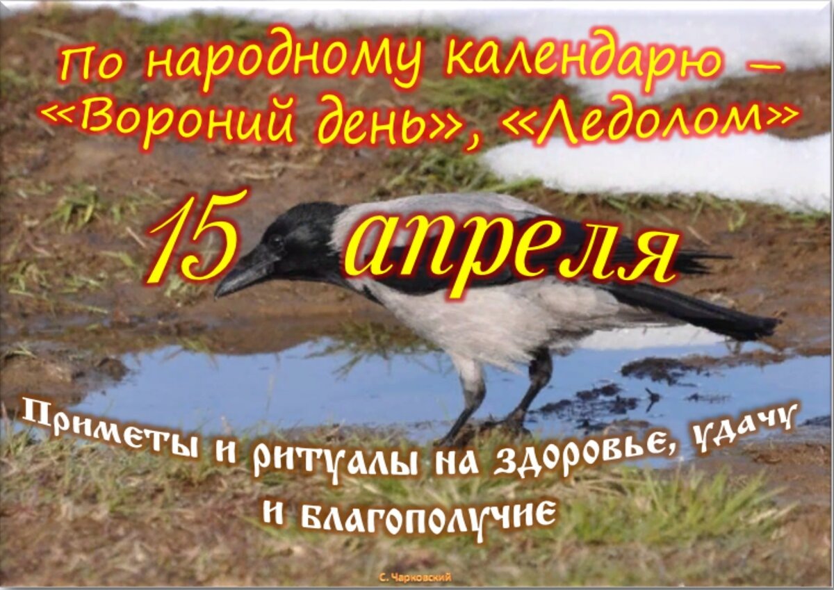 Встречаем новый день