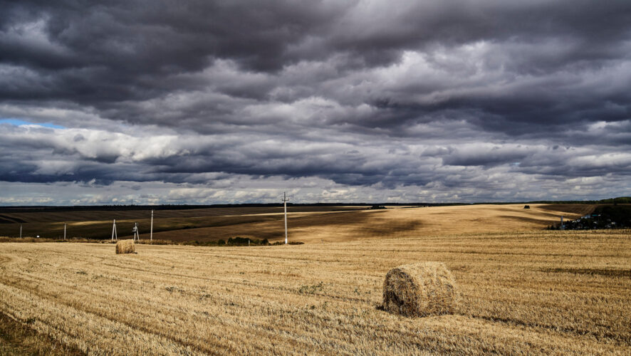    Фото: KazanFirst