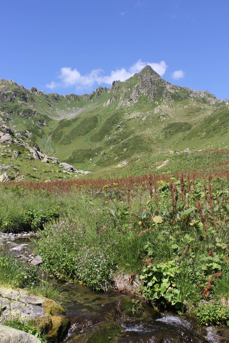 Горы Абхазии, Сухумский район. Фото из ВК "Абхазия! Страна Души!"