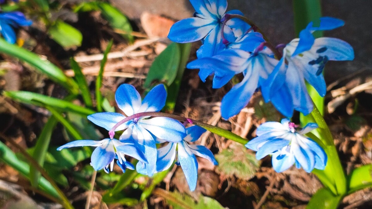     Источник: 1MI