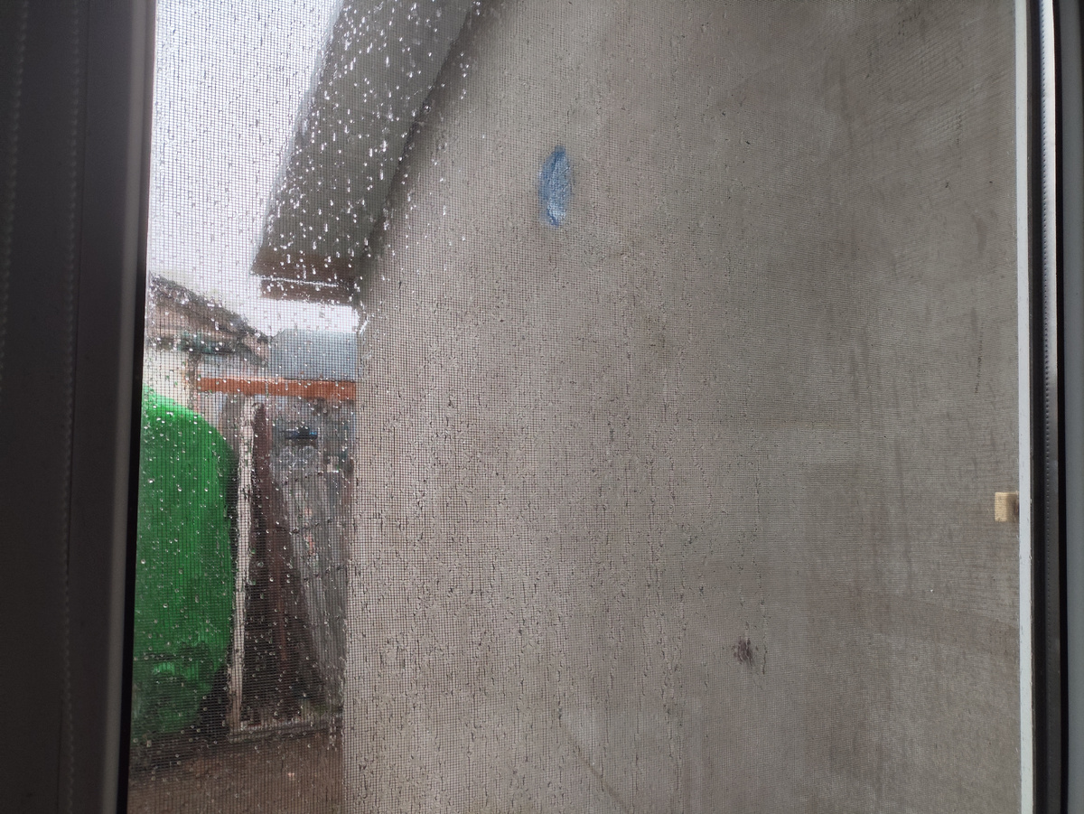 Ветер как раз в мое окно...