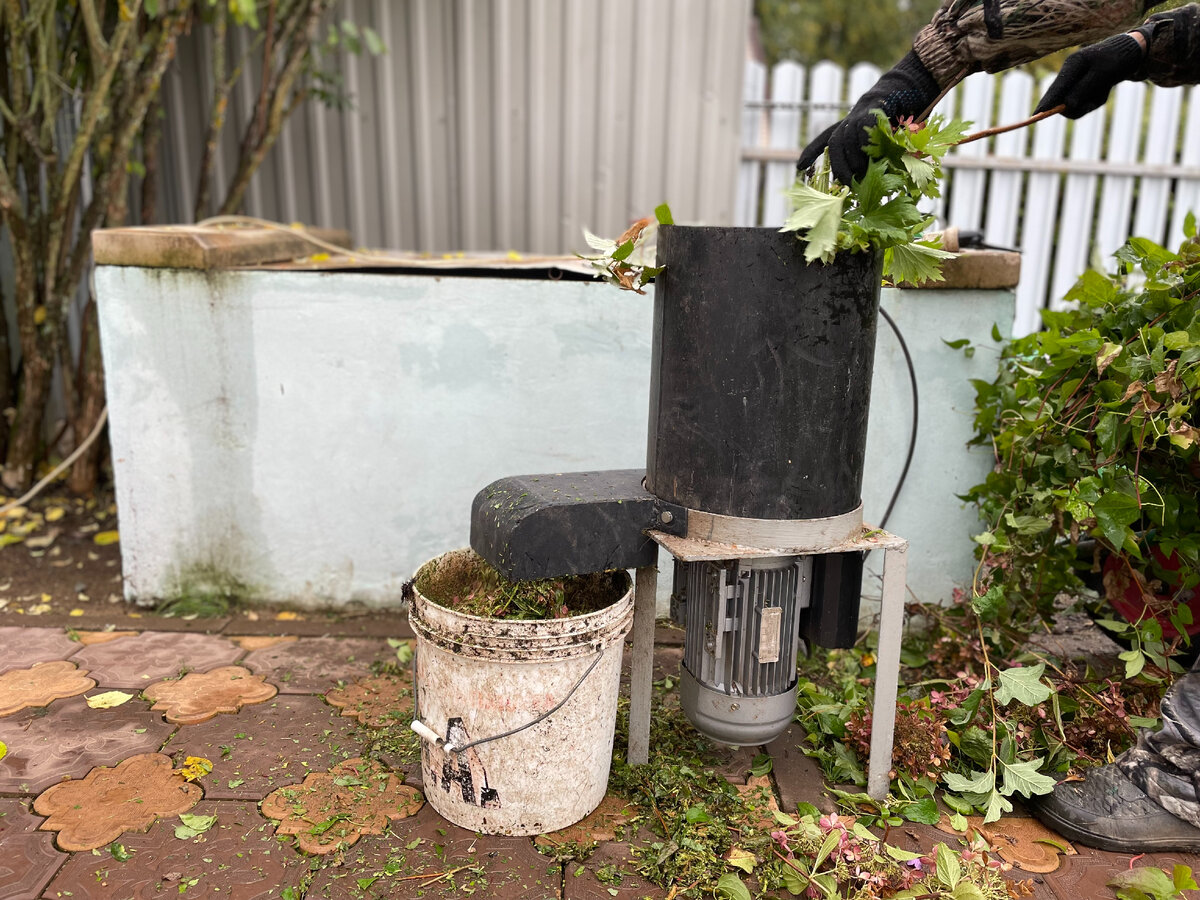 Фото автора