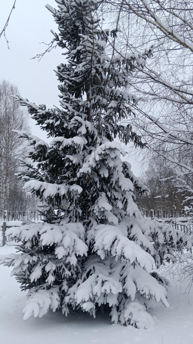 Не хватает новогодних украшений)