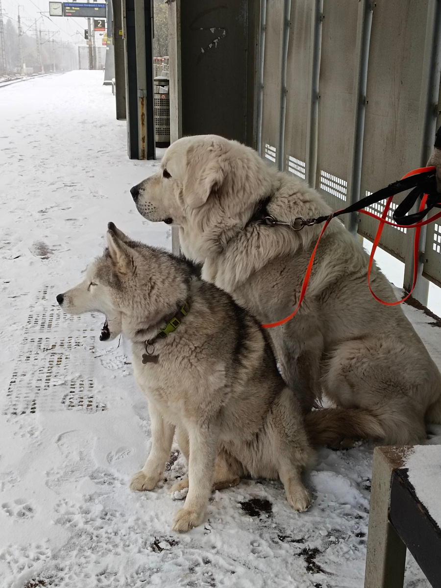 Фото из архива автора