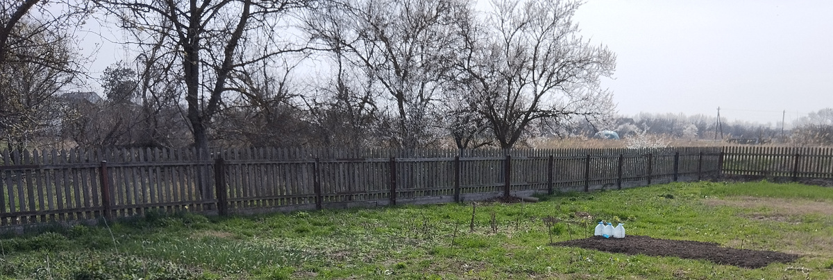 А это то, чем любуюсь в данный момент, март 2025 года. Фото автора, Ворошиловой М.В.