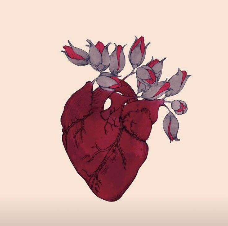 "Я открываю свою клетку, постоянно зная
Что эта клетка снова окажется грудная
Камеры, у меня четыре камеры"(с) Фото: Pinterest / Kelli Smith