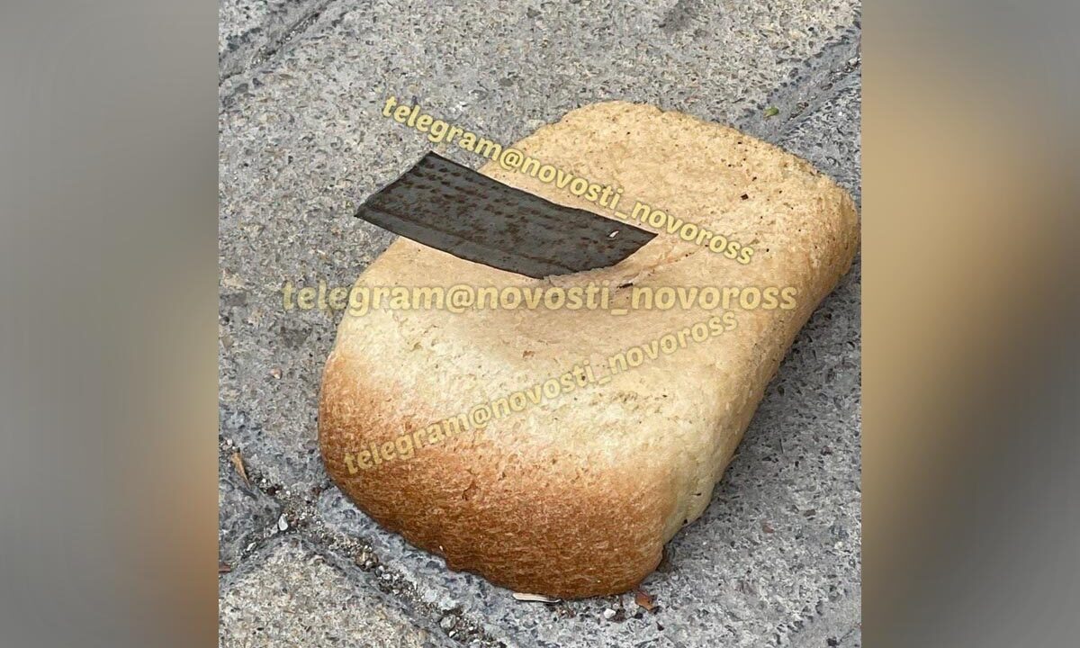    Фото t.me/novosti_novoross