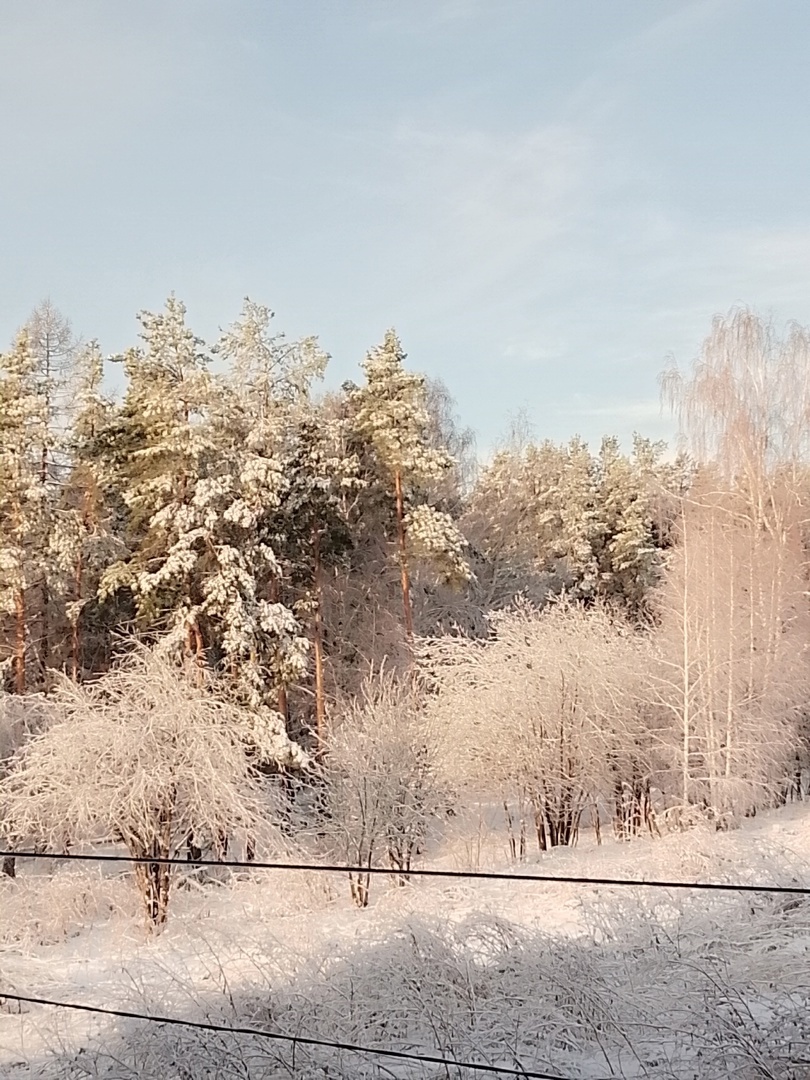 Весеннее утро. 11 апреля