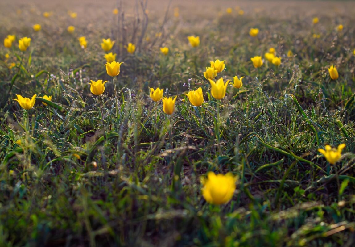 Фото до резкой перемены погоды . Фото: Л. Филоненко