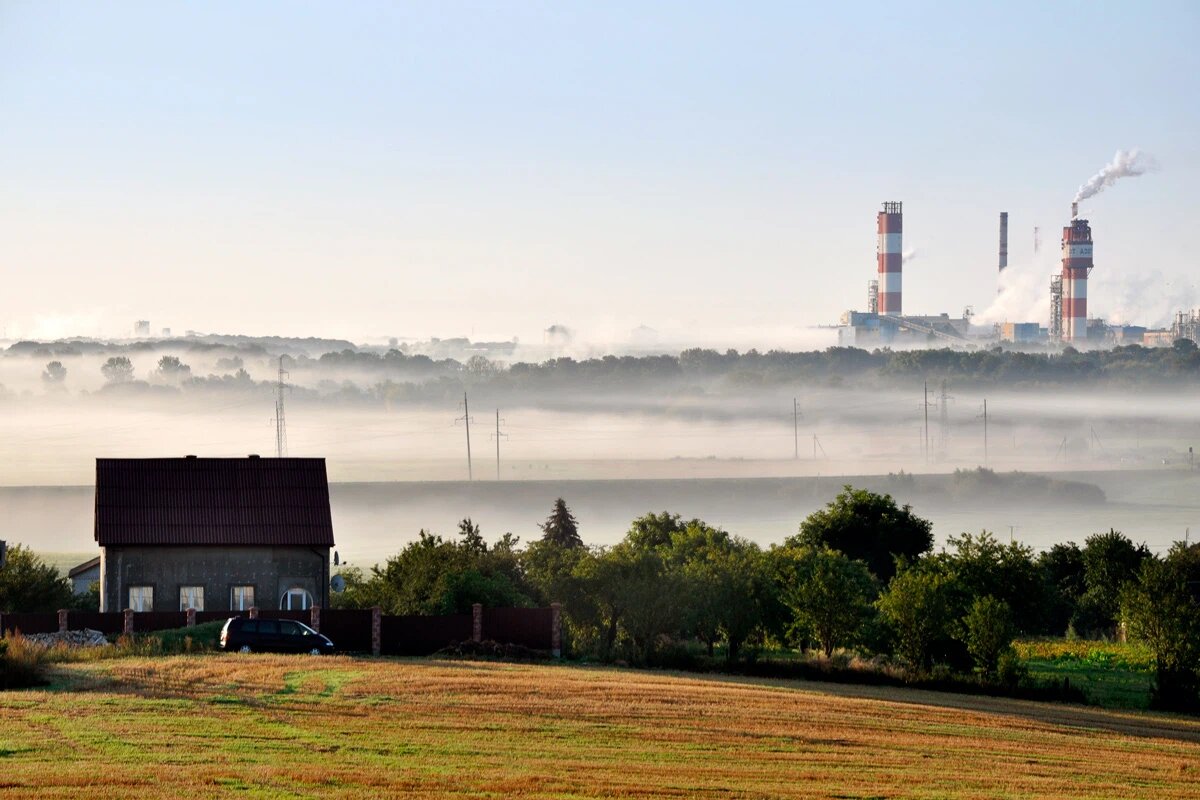    Фото: struvictory / Shutterstock.com