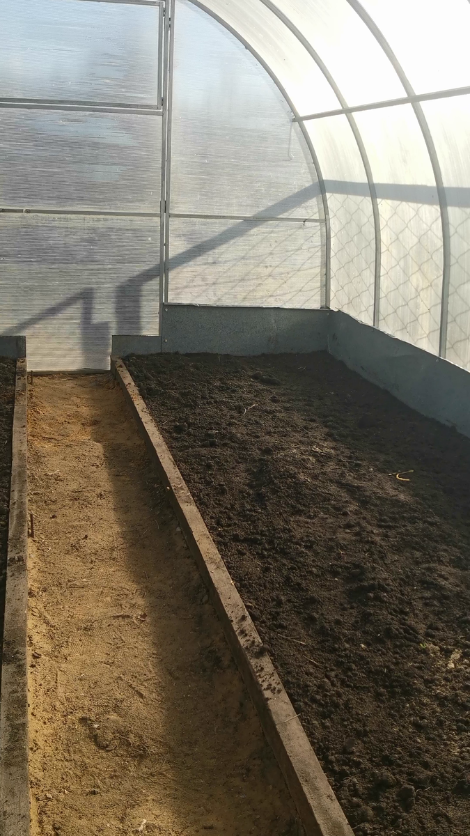 Расконсервация теплицы. Март 2025 года