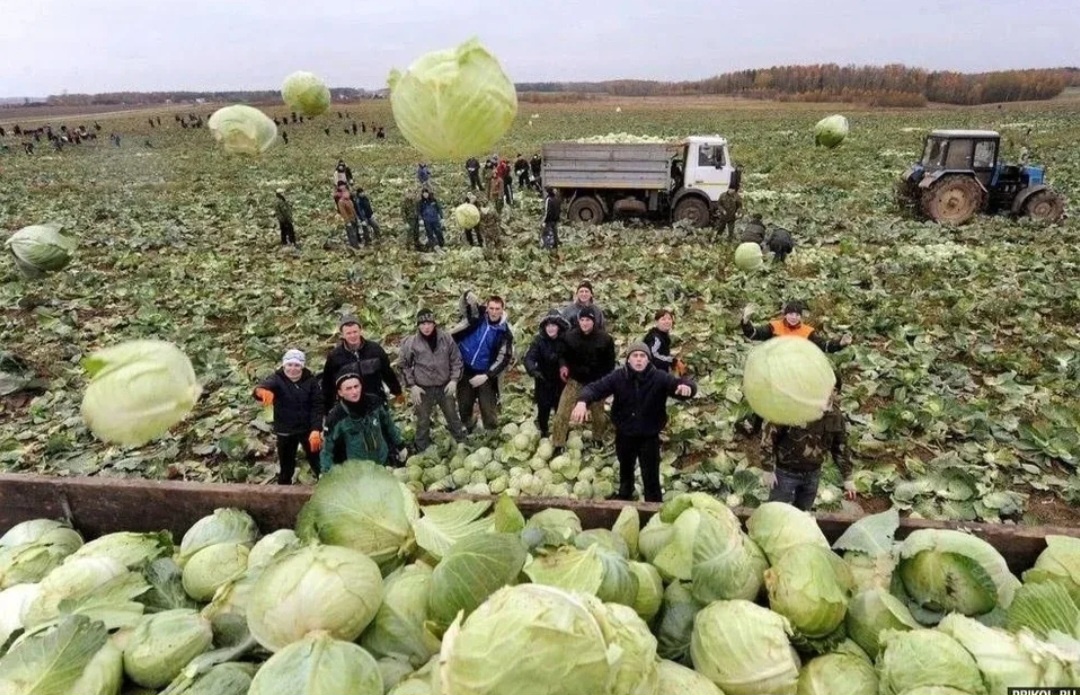 Картинка с интернета. 