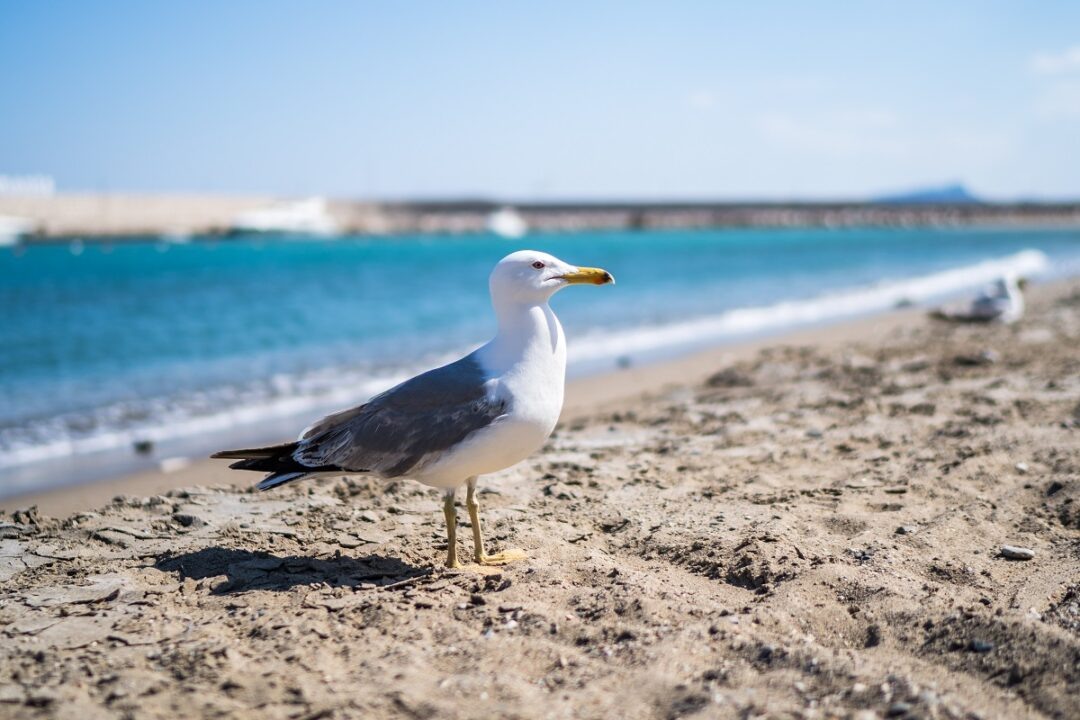 Фото: Александр Плонский / «Агроэксперт»