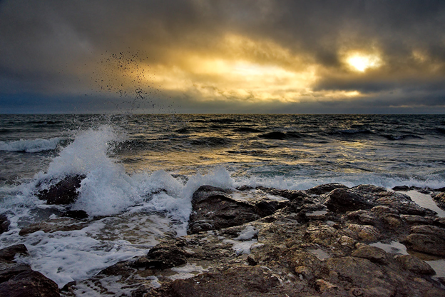 Фото: из открытых источников