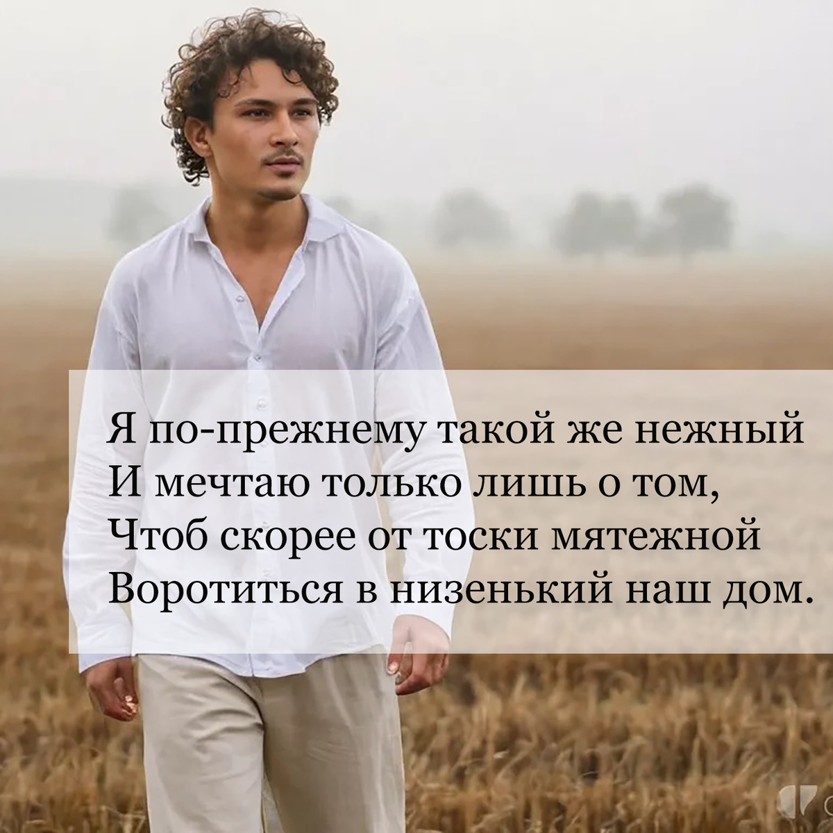 Стихи Есенина