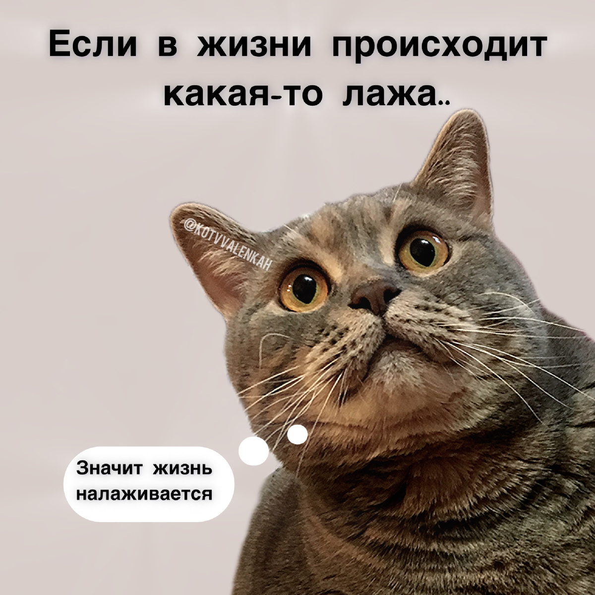 -6