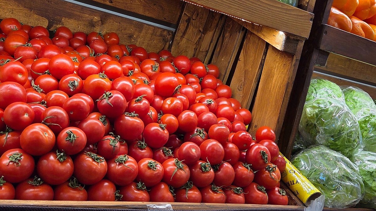     Автор: KubanPress