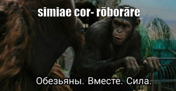 Я просто не мог не вставить это сюда, когда прочитал: "вместе" "делать сильнее" :)