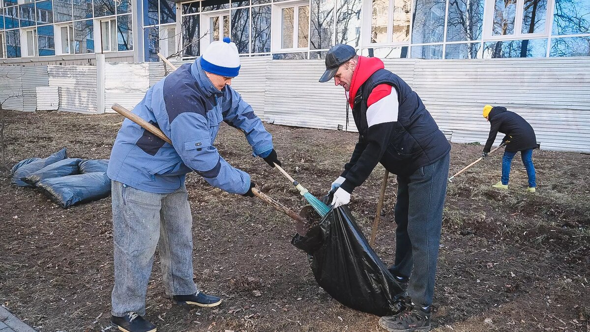 Общественники предложили главе Минтруда запретить принуждение россиян к участию в весенних субботниках. Источник: 1MI