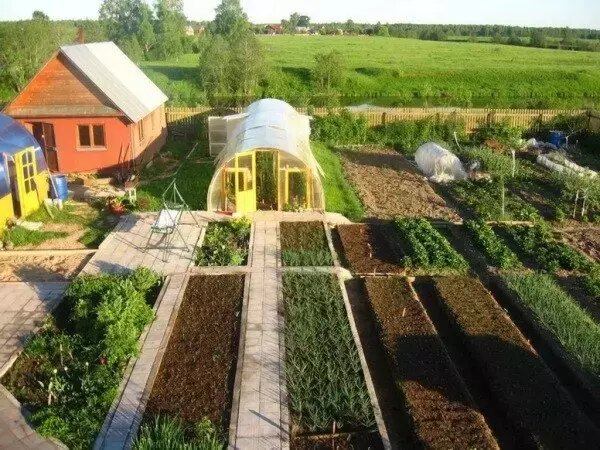 Штрафы до 50 тысяч рублей теперь грозят дачникам. Разбираемся - за что и сколько