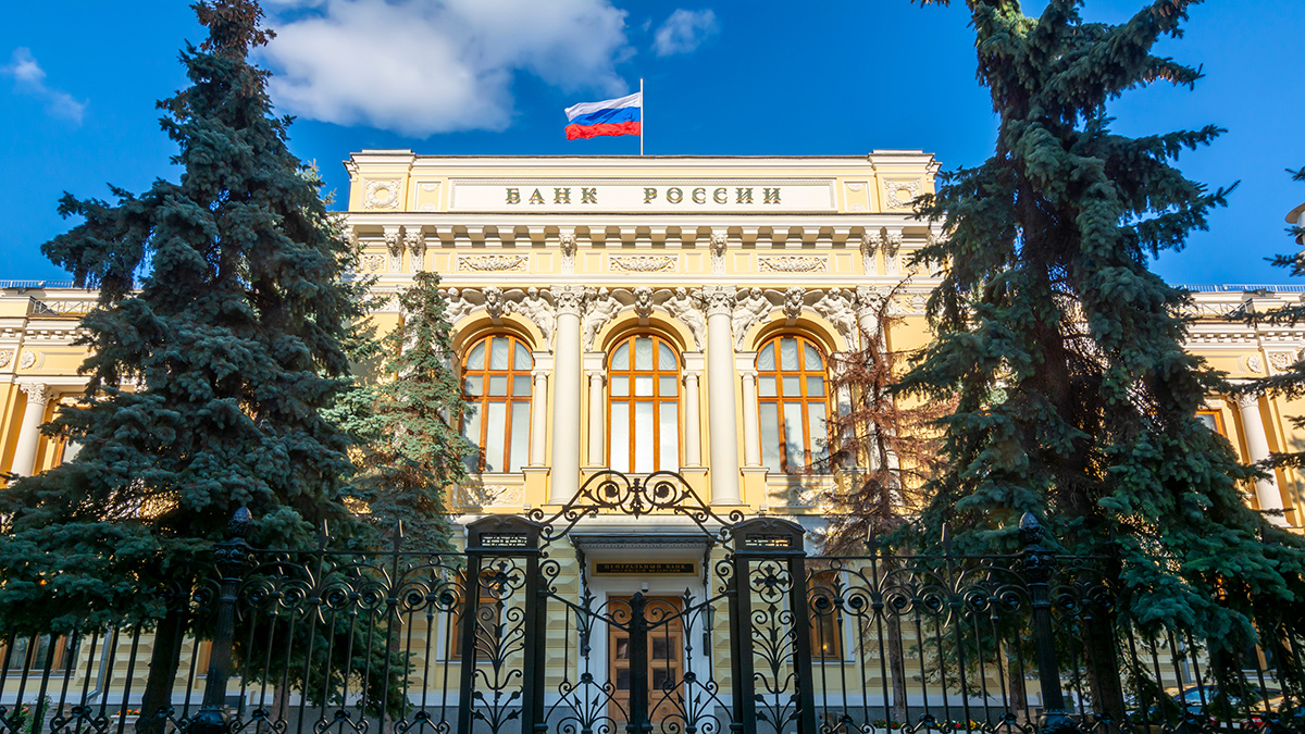    Фото: vm.ru Георгий