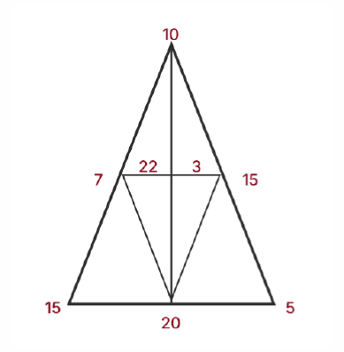 Треугольник здоровья Селены Гомес