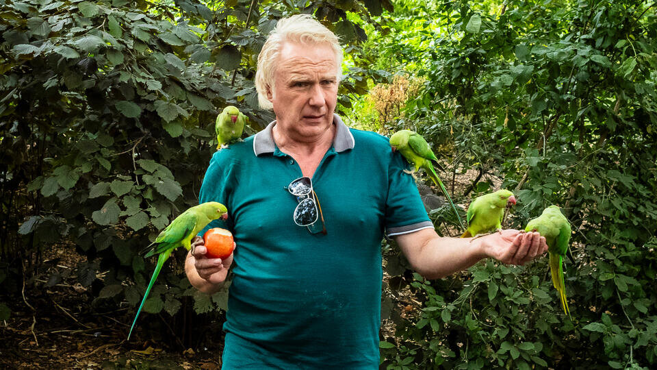 Фото: © www.globallookpress.com/Wiktor Dabkowski