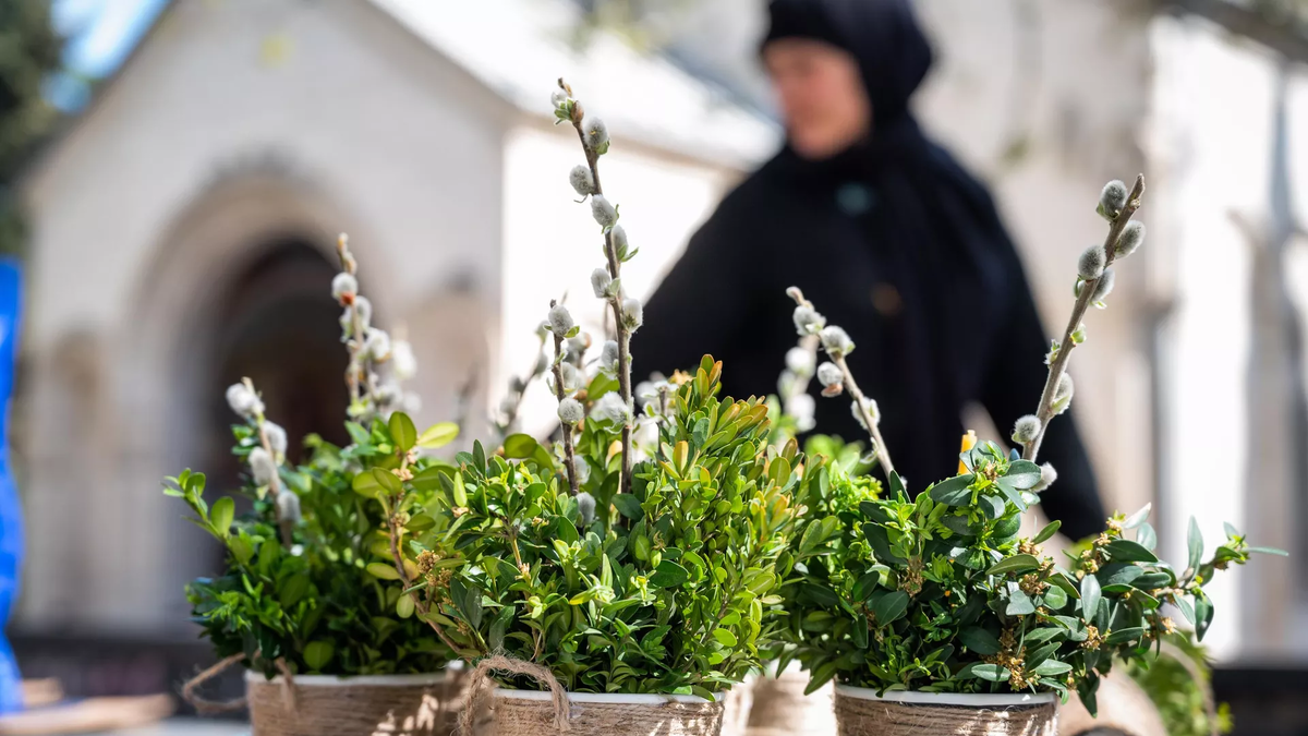 © photo: Sputnik / Stringer