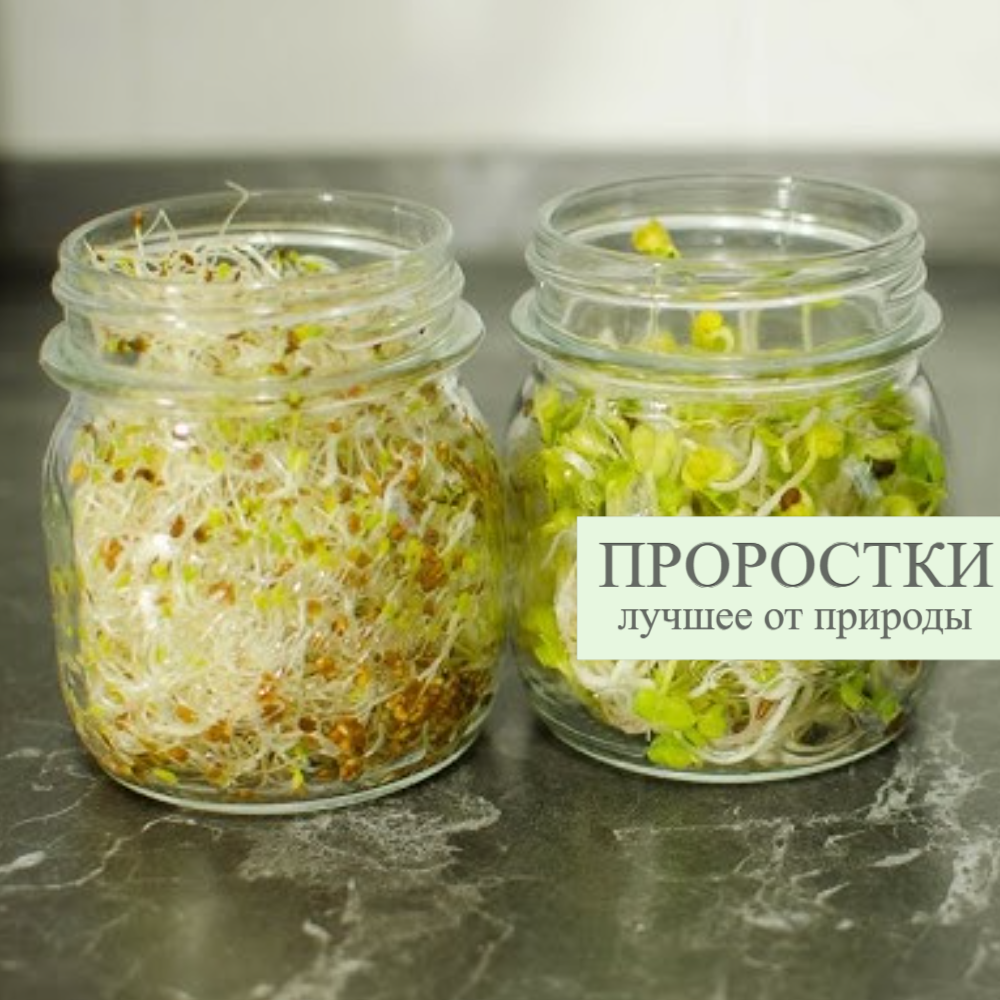 Ростки и прорстки