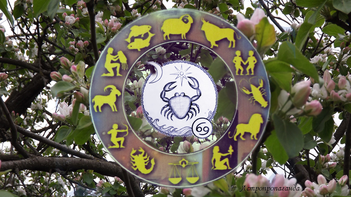 Гороскоп для Раков на апрель 2025. 