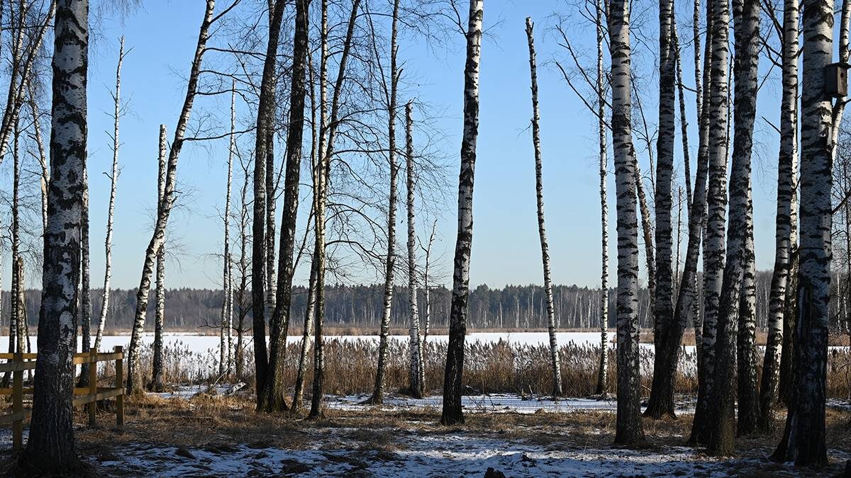    Фото: Мария Хапцова / Вечерняя Москва