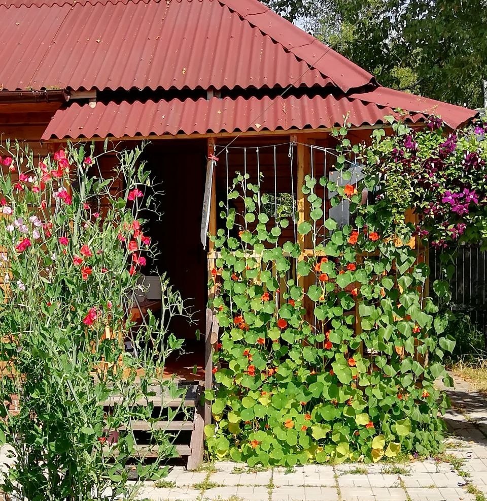 Останавливаемся в этом моменте и дышим.