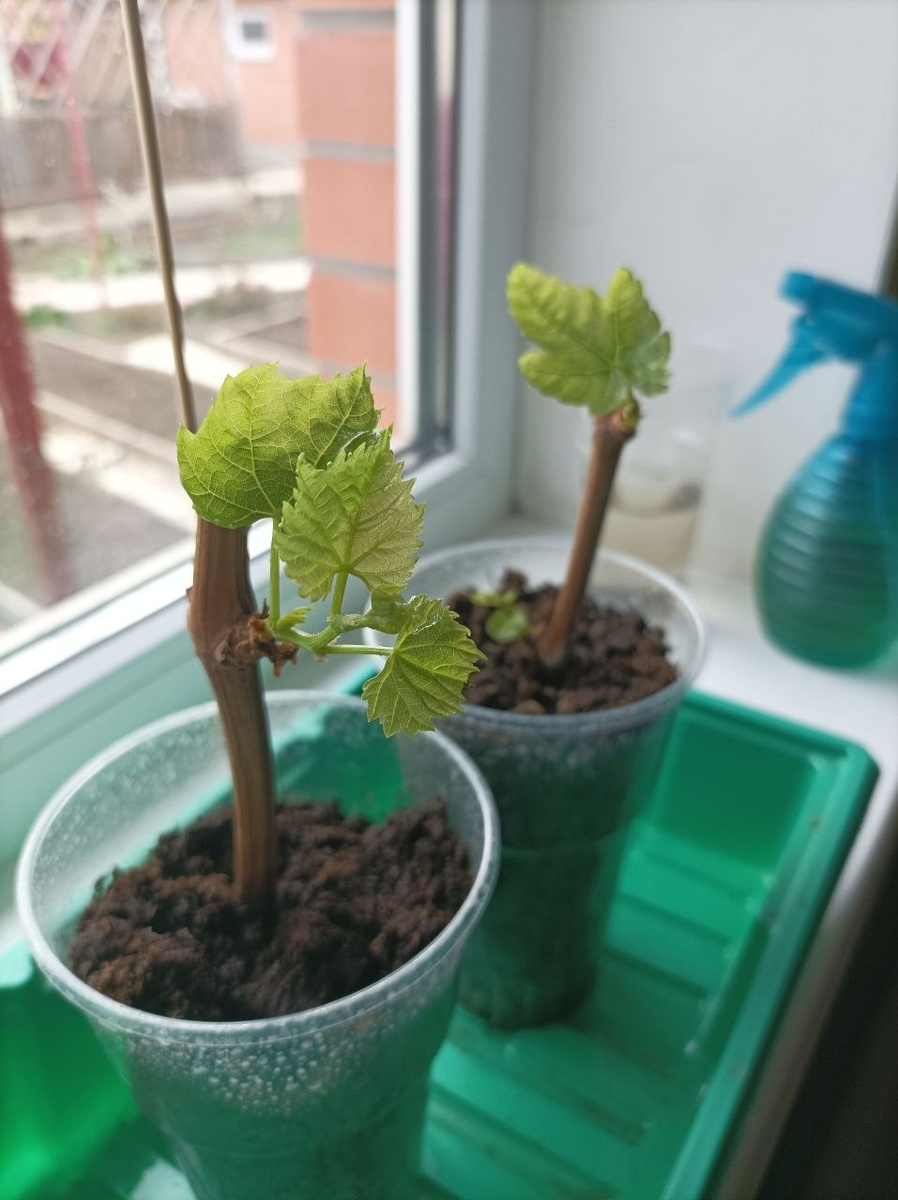 Фото подписчика 