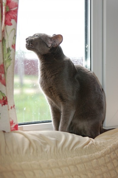 Птицов не поймать, рыбов не поймать, что за жизнь такая?