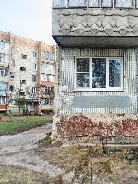 Пациент № 0
