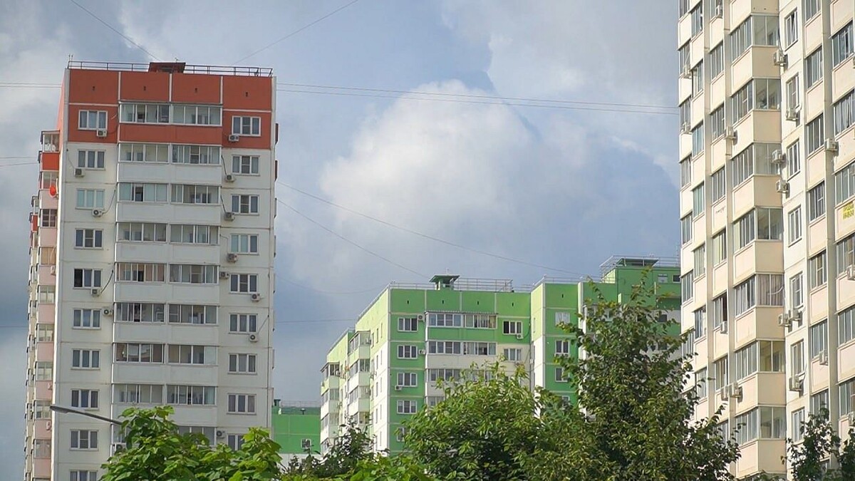    Фото: телеканал «Краснодар»