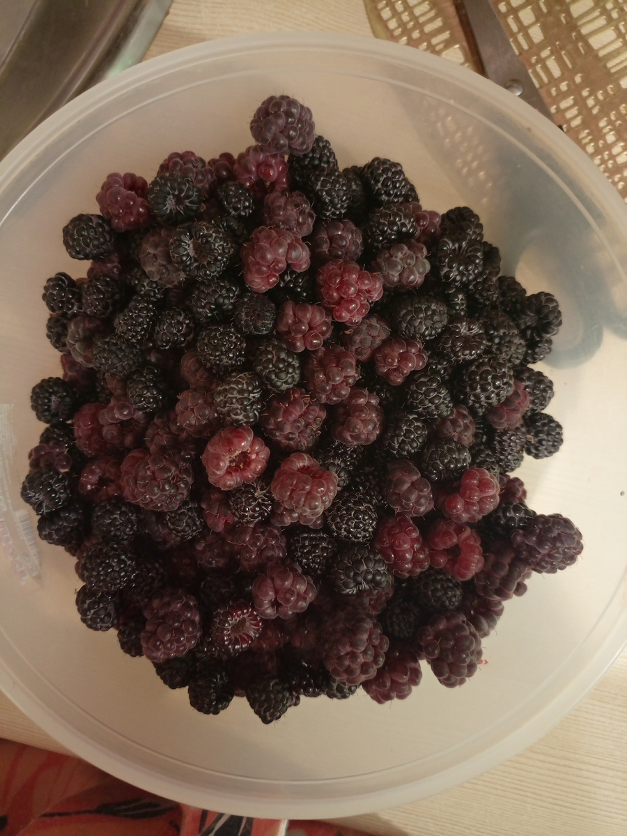 Малина с моего огородика