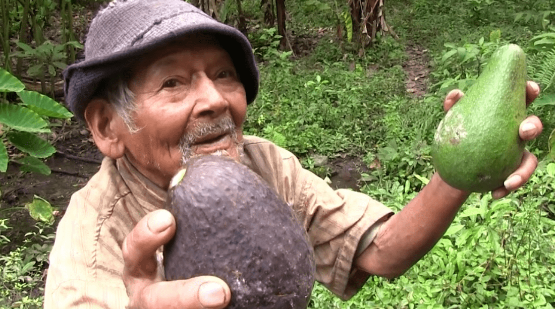 Мужчина утверждал, что ему более 100 лет. (Фото: imgmedia.larepublica.pe).