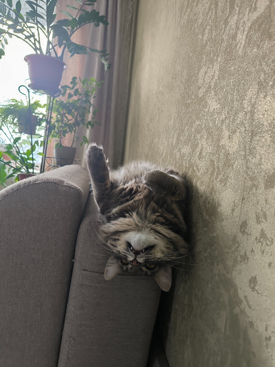 Все фотографии в статье авторские. 