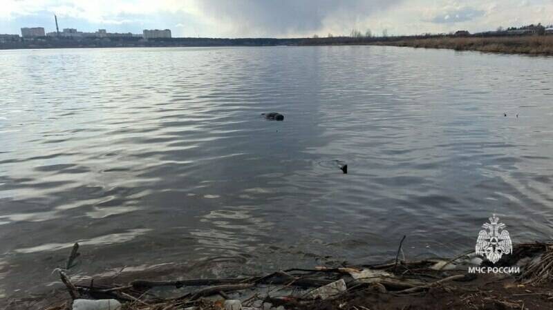 Фото: Пресс-служба ГУ МЧС России по РТ