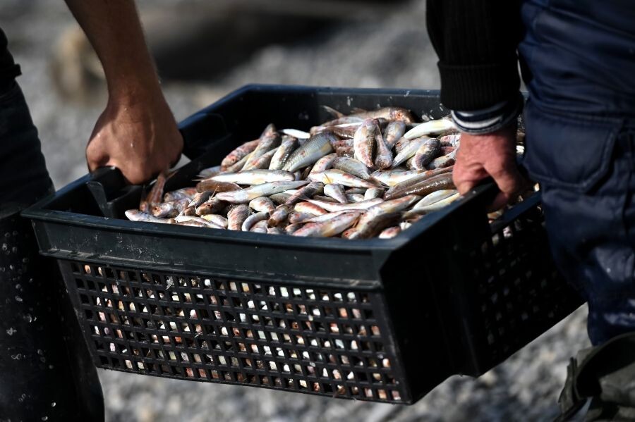     / Источник: © Артур Лебедев/РИА Новости