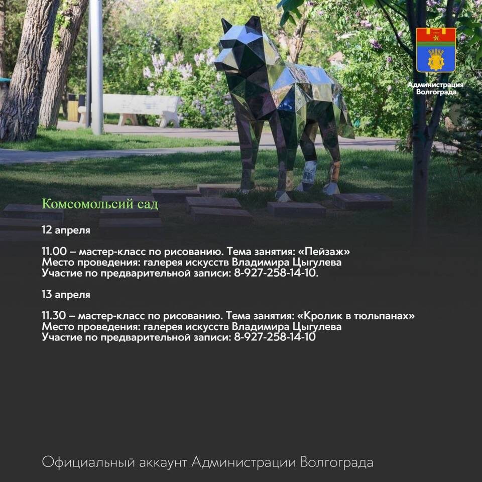    Инфографика: Администрация Волгограда