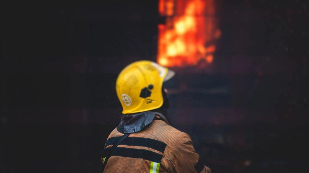    Фото: PCVR-112303/Shutterstock/Fotodom