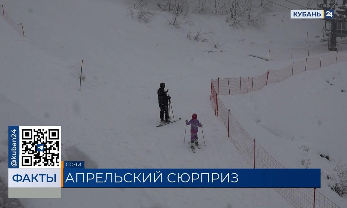    Видео канала «Кубань 24»