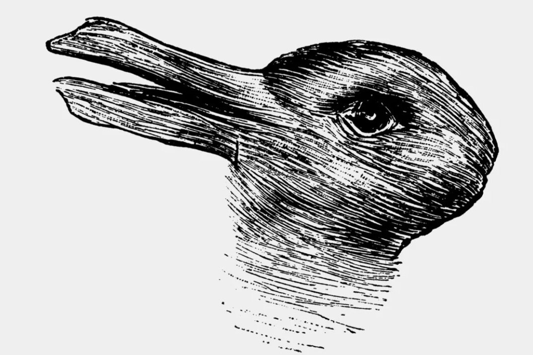     Утка или кролик? Что говорит о вас популярная оптическая иллюзия