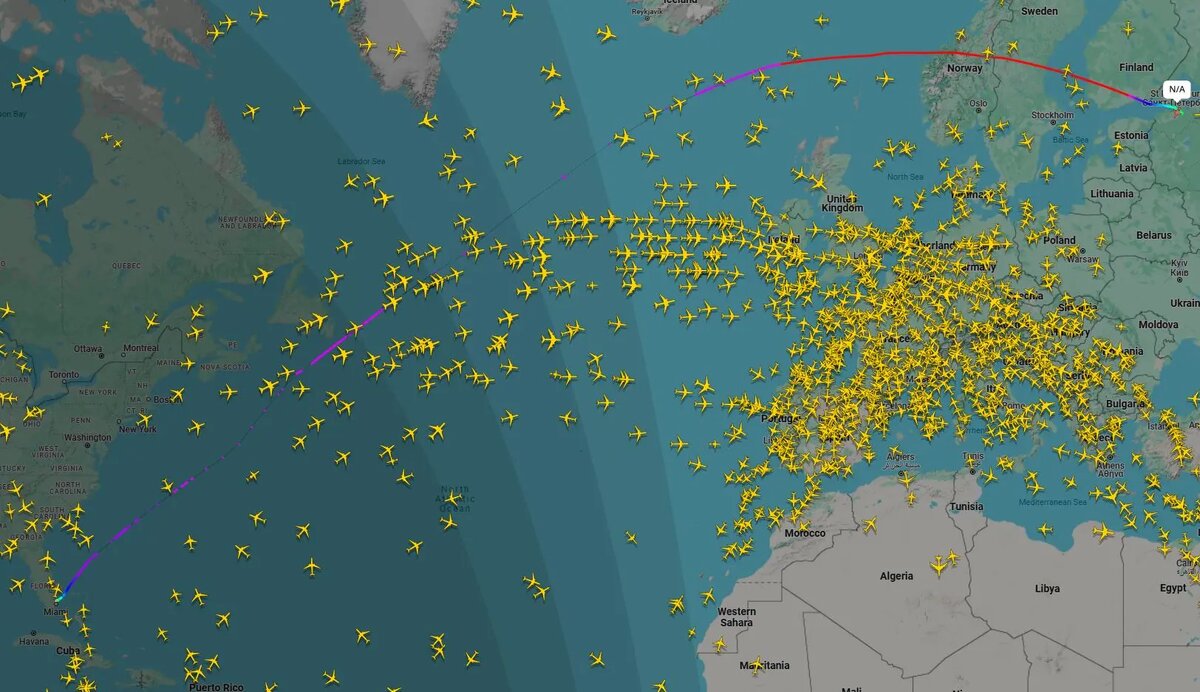    Фото: скрин сервиса Flightradar24