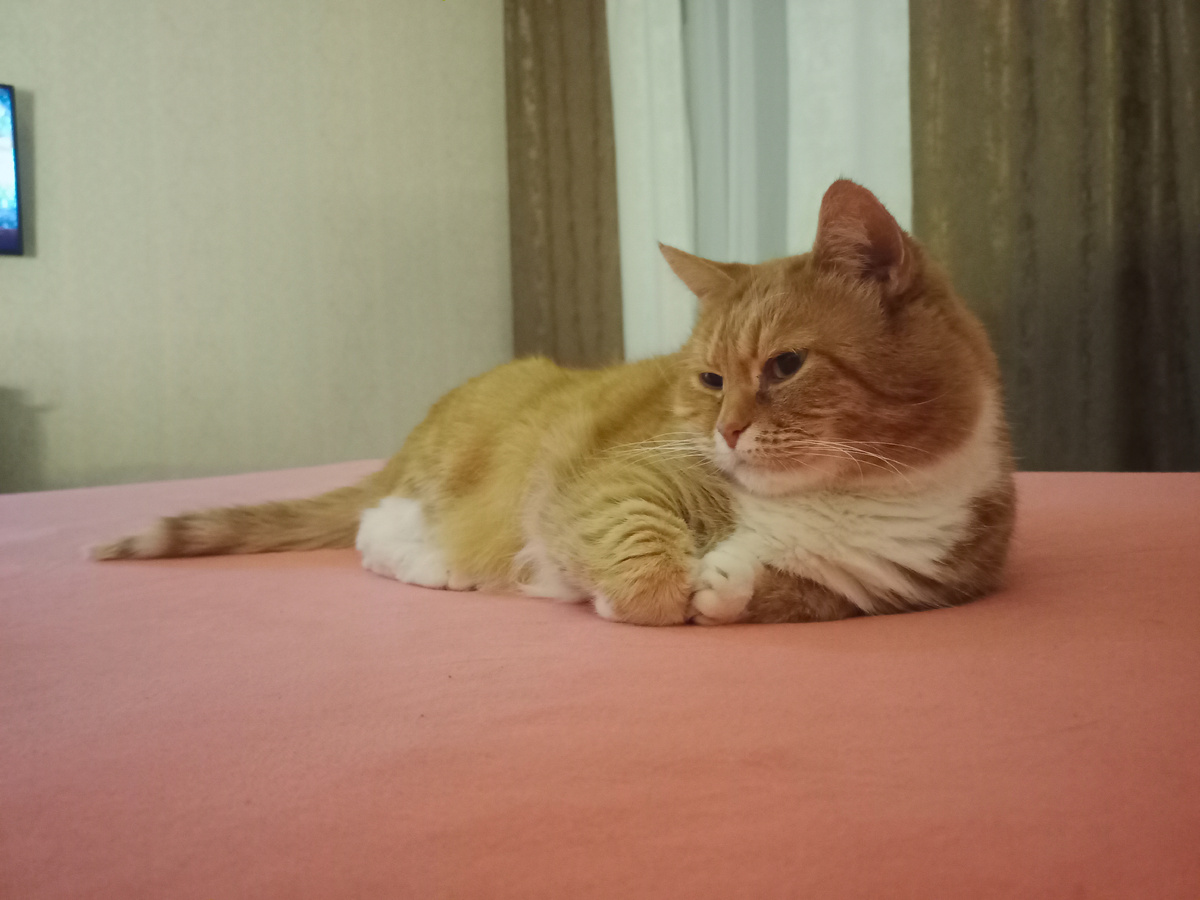 Похоже теперь с ней придется делить  это пространство. Она пока не умеет создавать каналы, ну или делает вид что не умеет  - не царское это дело ...  зато вот теперь что пишет :)