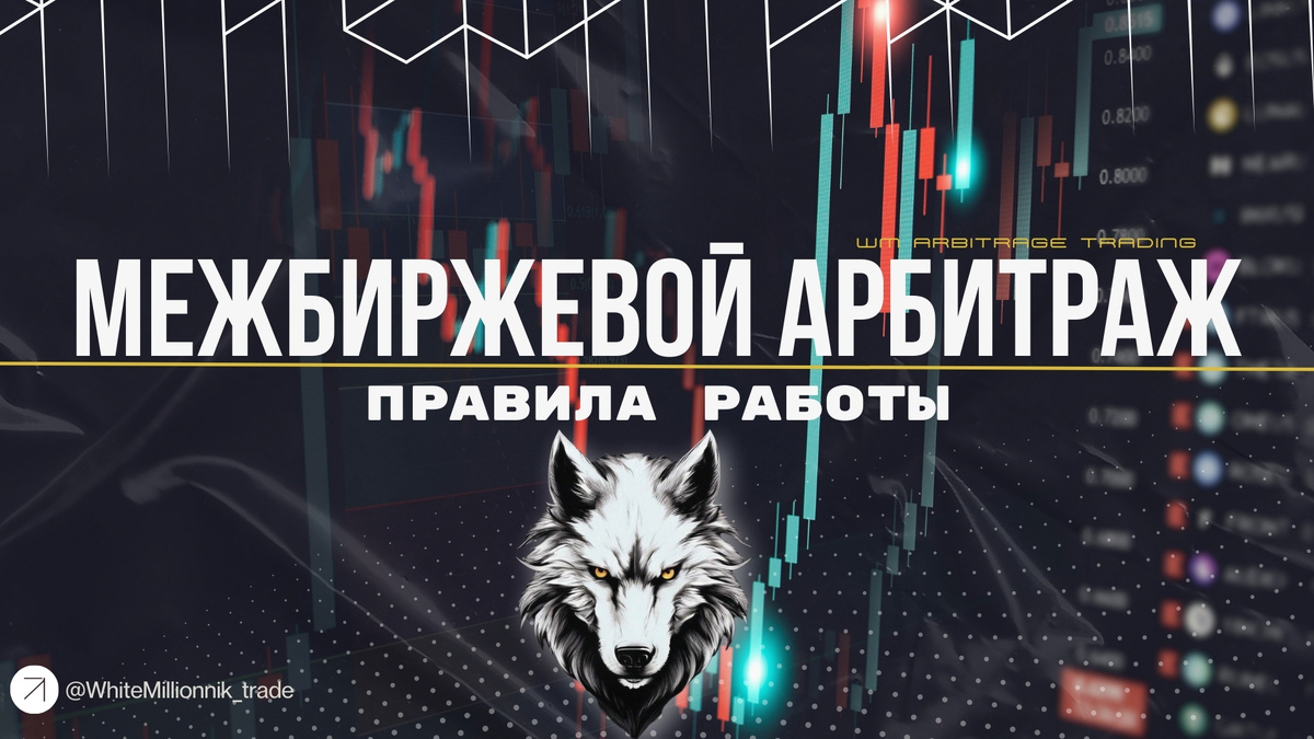 WM AT • выпуск №2