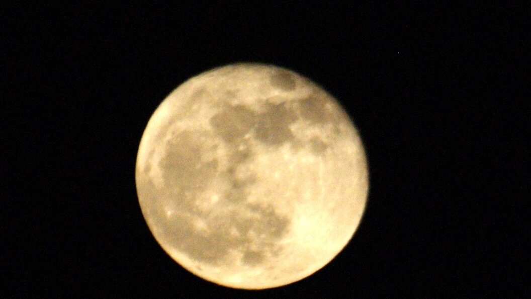    Фото: Alexander Legky/Global Look Press/Globallookpress