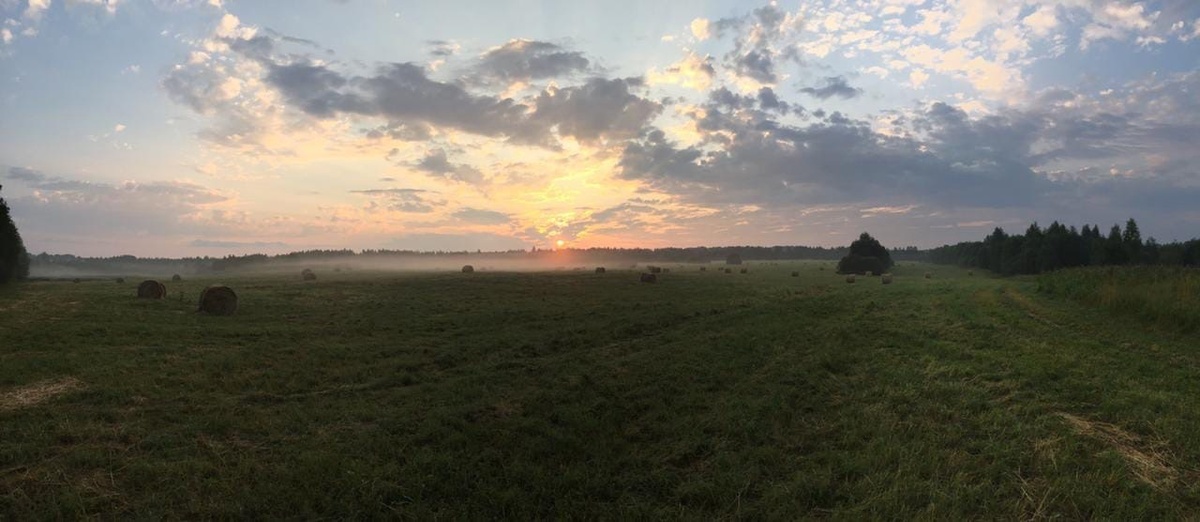 Прекрасный день, когда окружаешь себя хорошими людьми, плохое от себя отсекаешь и живёшь в радость.